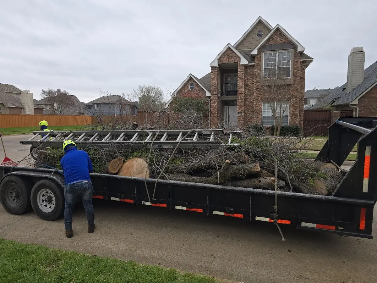 Expert Tree Pest Control with proper safety equipment in Cushman